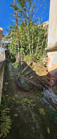 Φωτογραφία 2